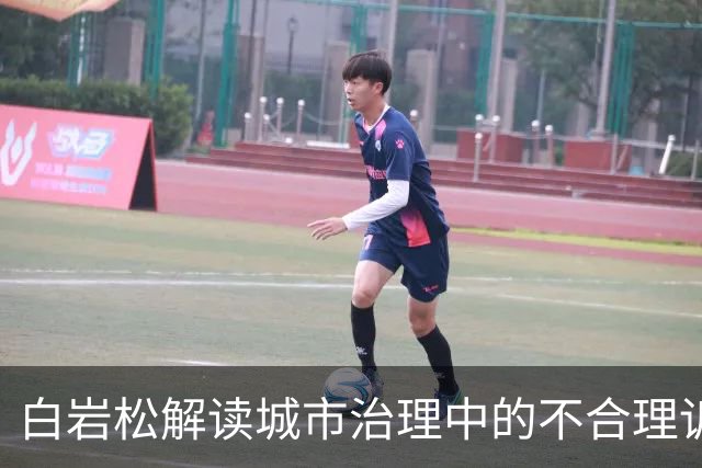 白岩松解读城市治理中的不合理诉求与热线机制发展